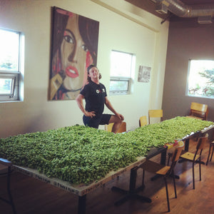 Village Gardener Seventh Annual Brew
