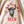 Calgary Beer Crewneck